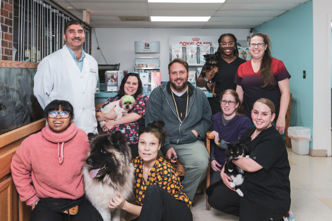 All Paws Veterinary Center Team