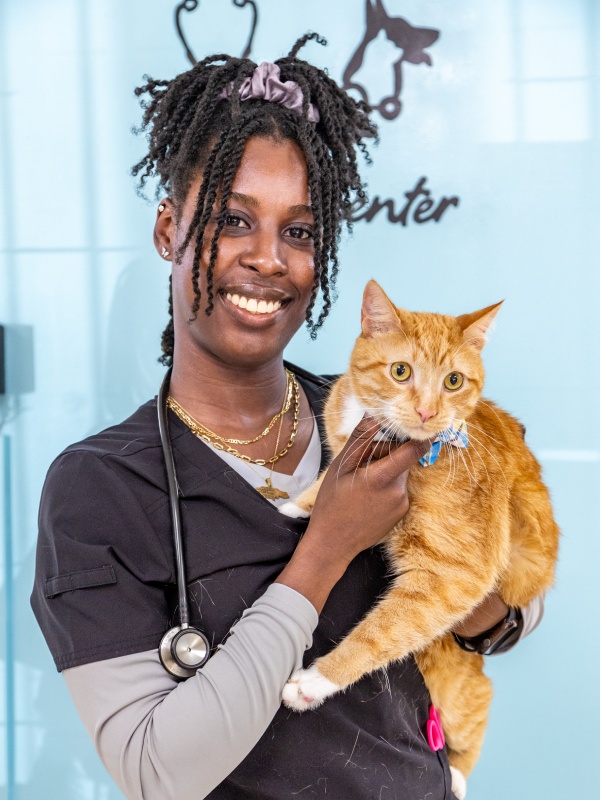 A veterinarian holding cat